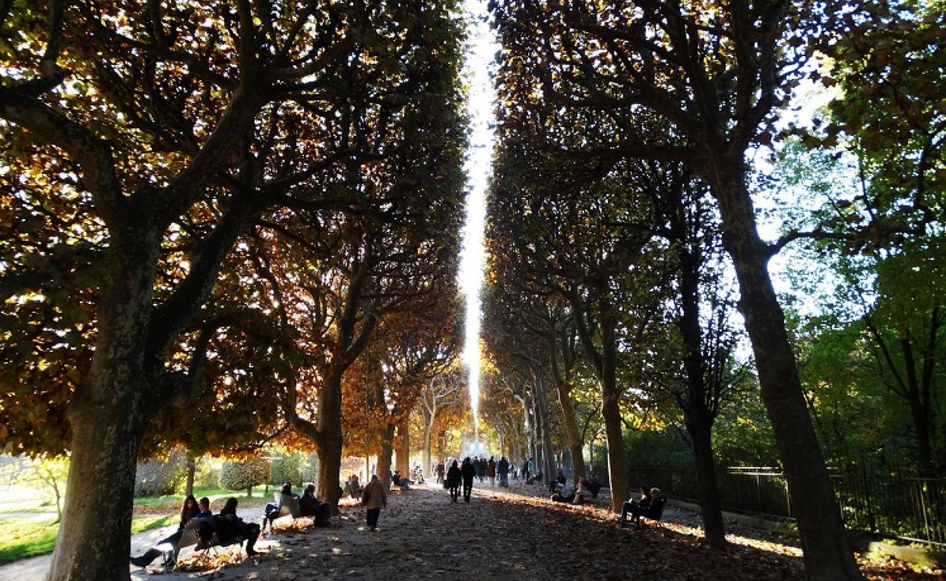 Koltai Viktória - Jardin des plantes