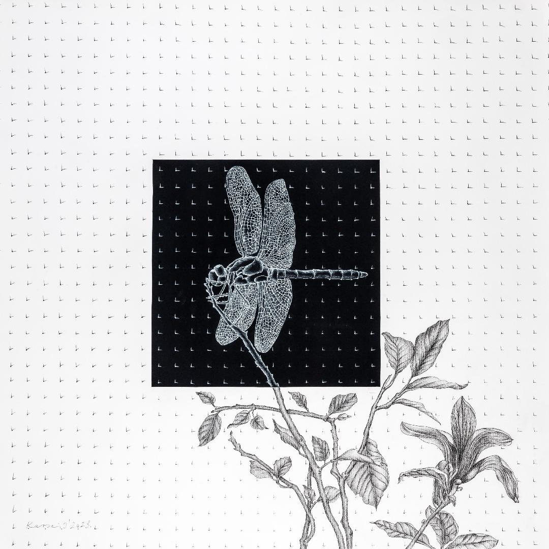 Kuva: Ildikó Karsai: Szitakötő (Sudenkorento), 2023