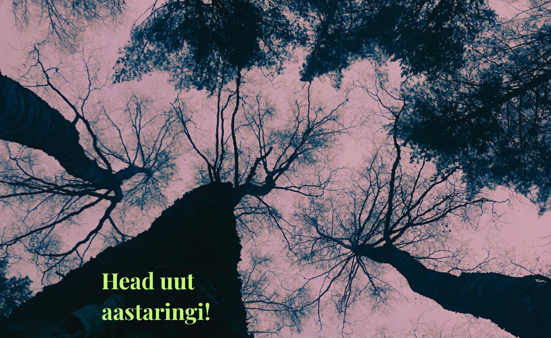 Aastavahetusluuletus