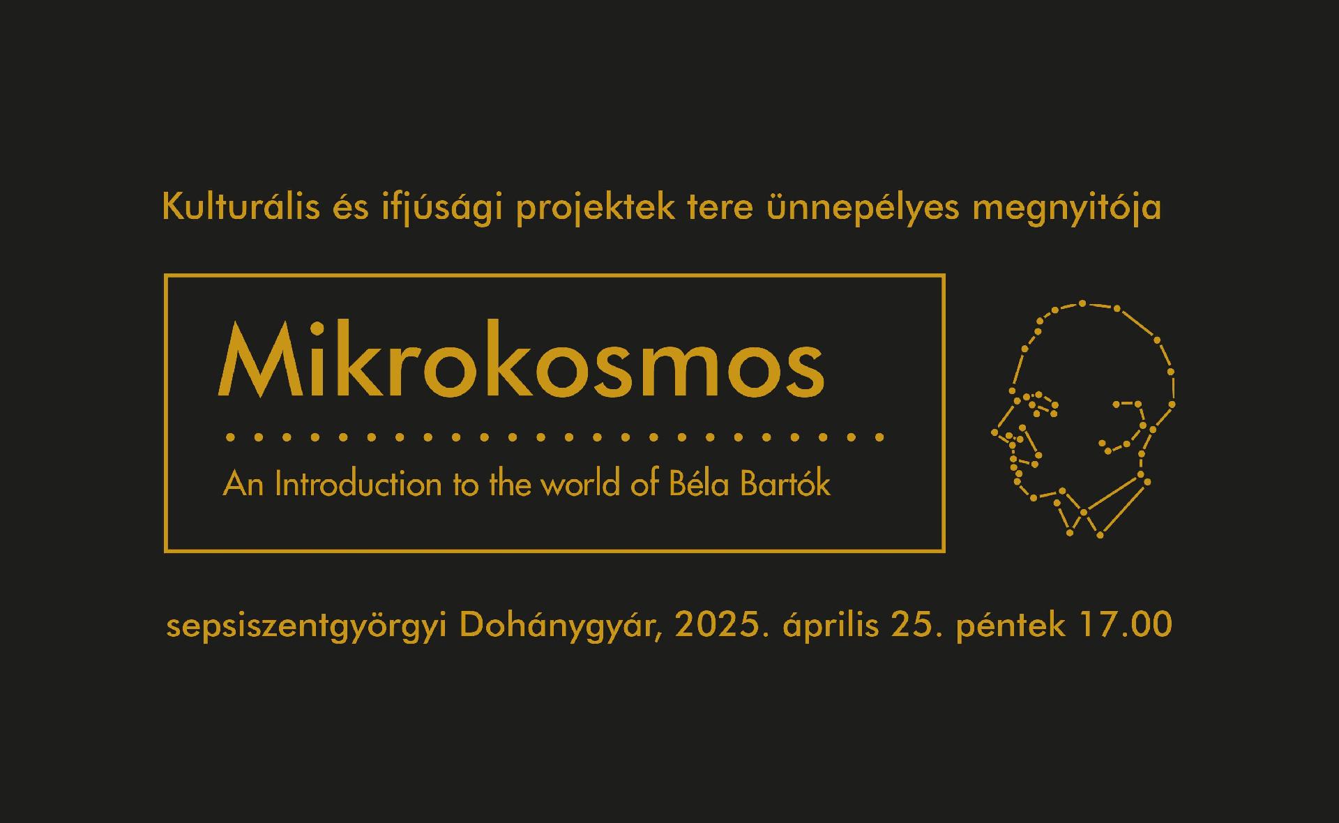 Kulturális és ifjúsági projektek tere – Ünnepélyes megnyitó