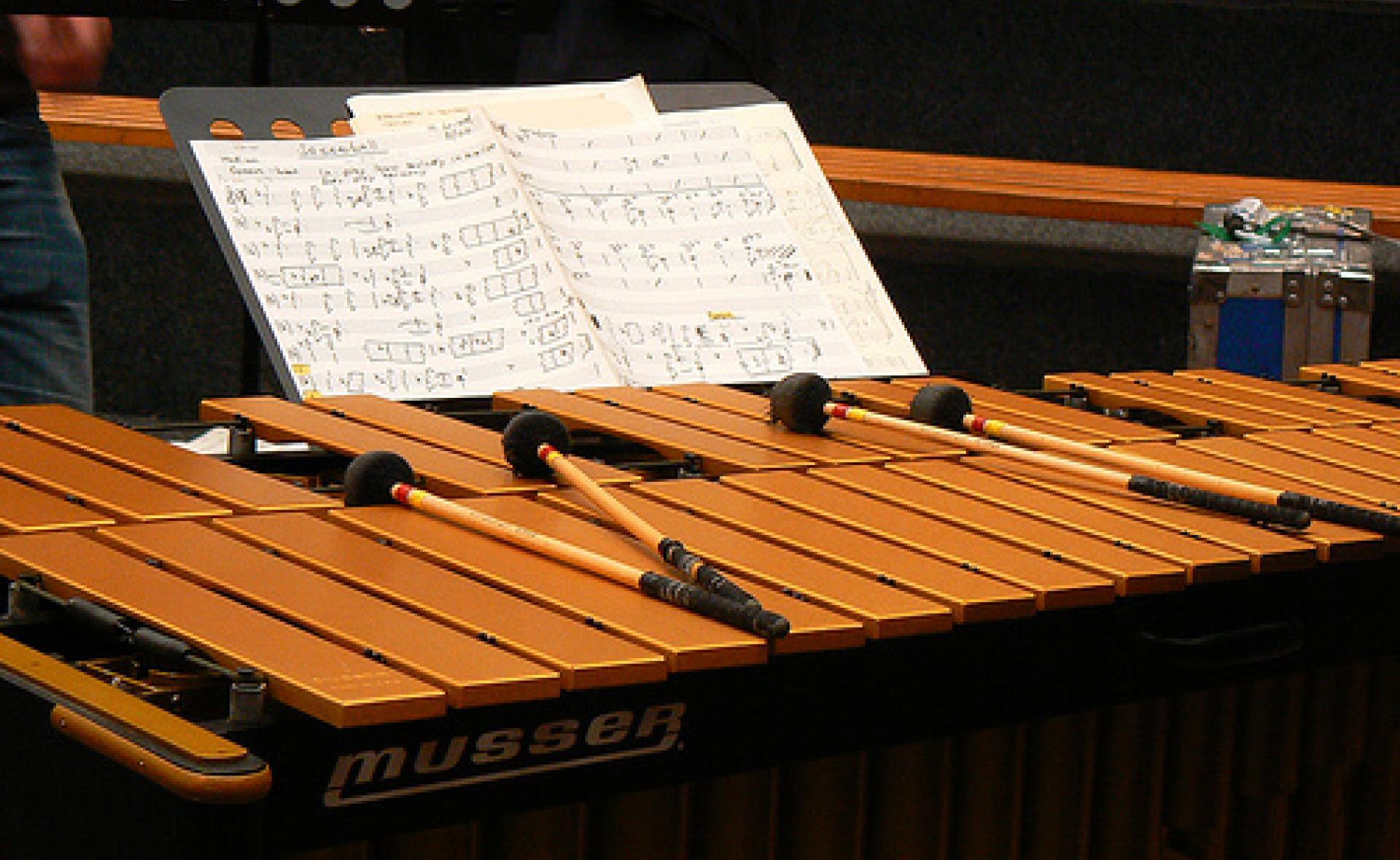 Concert cu ansamblul PERCUSSIONescu