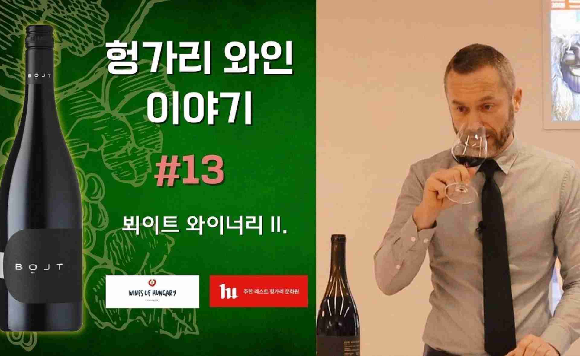 Hungarian Wine Stories VLOG 13. - Böjt borászat II.