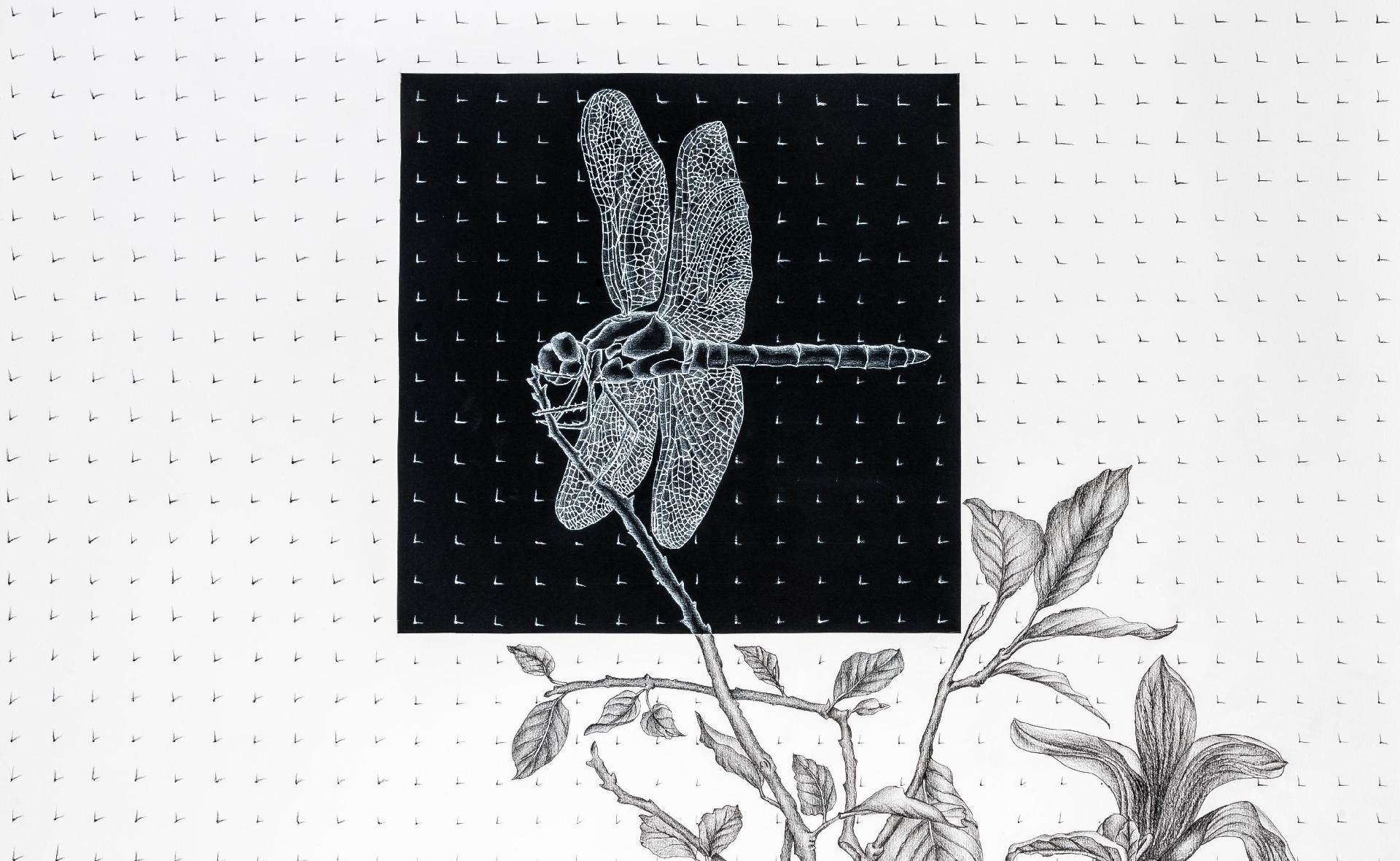 Szabad kézzel | Karsai Ildikó grafikusművész kiállítása