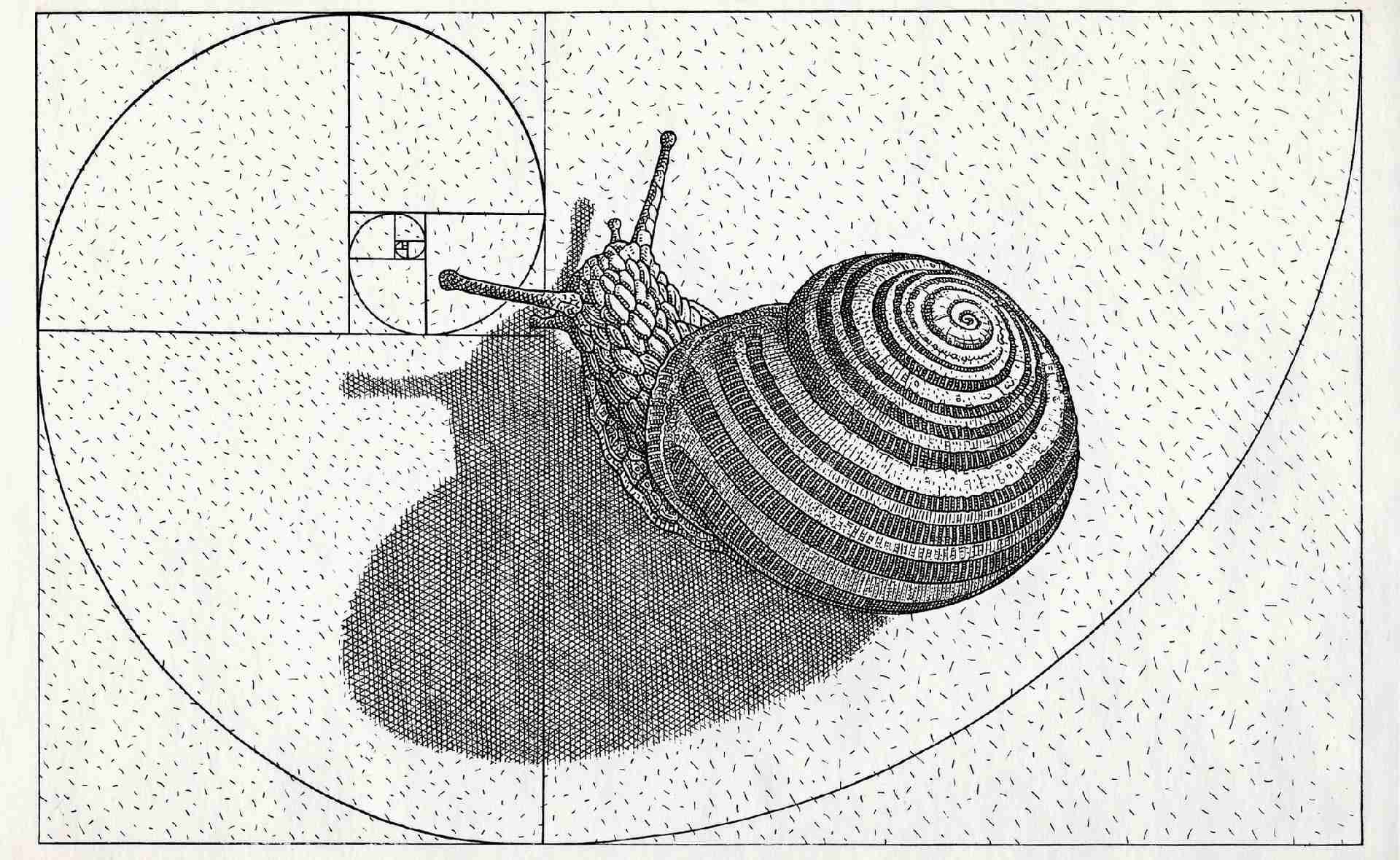 István Orosz: Snail, 2008, etching