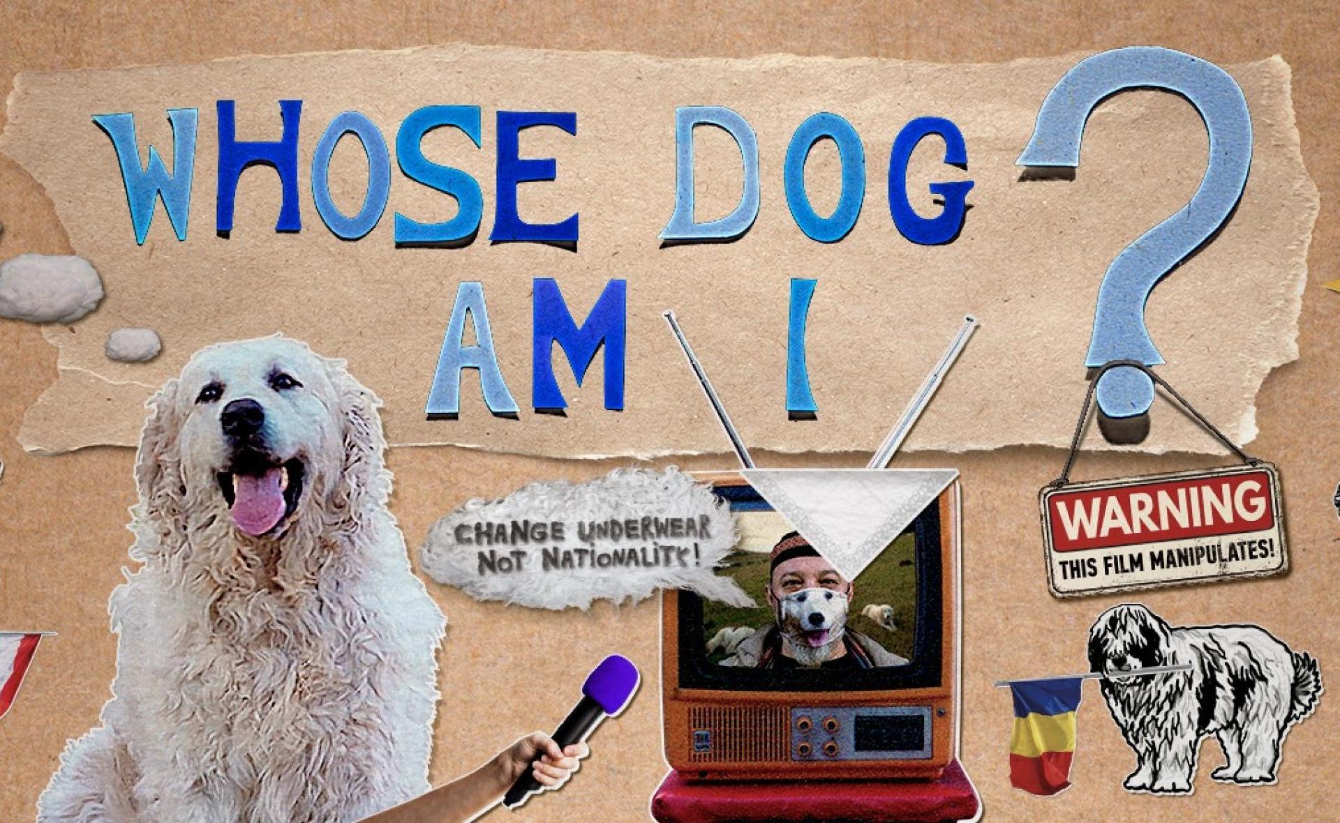 Whose Dog Am I? ǀ CHB Filmklub