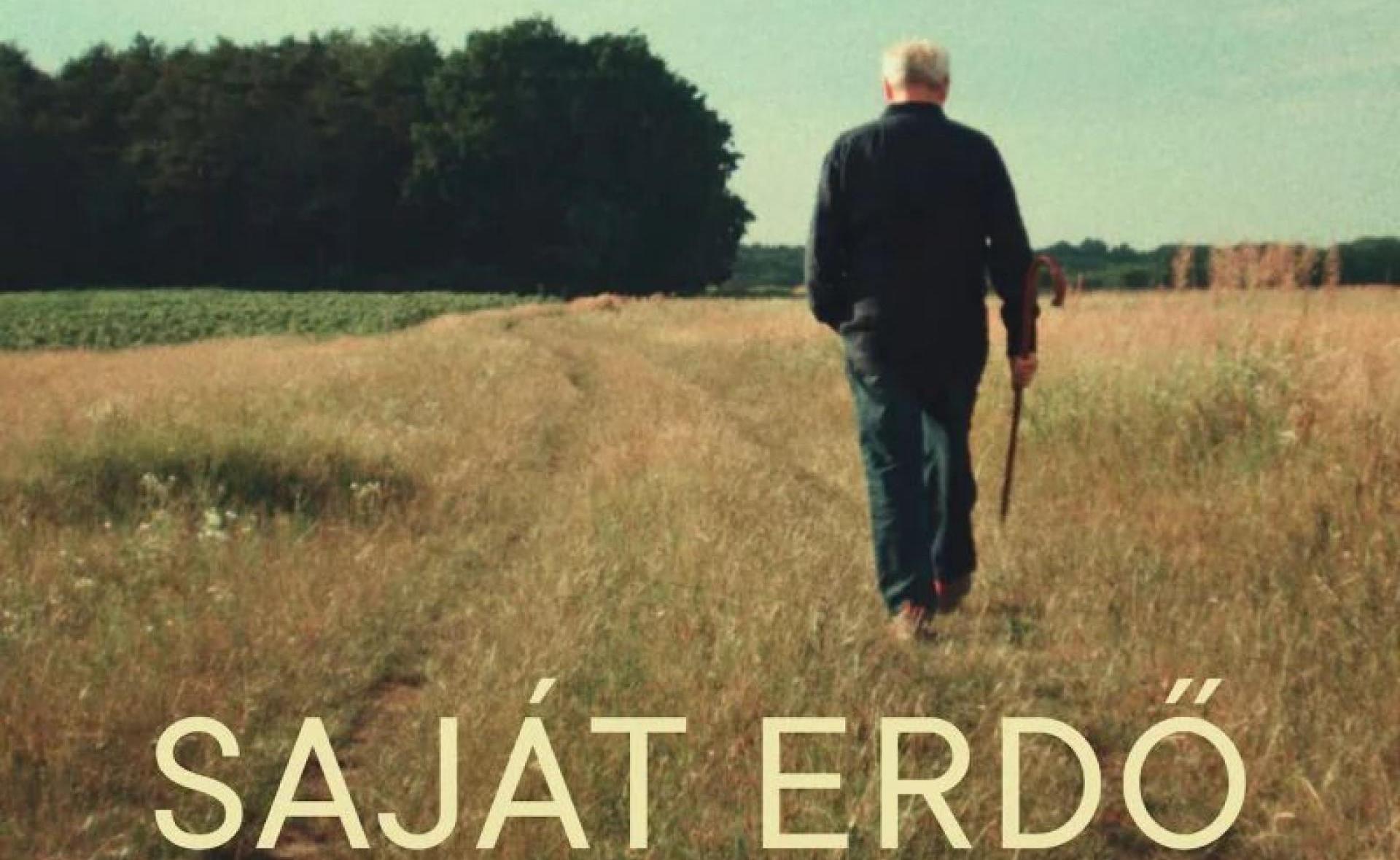 Der eigene Wald