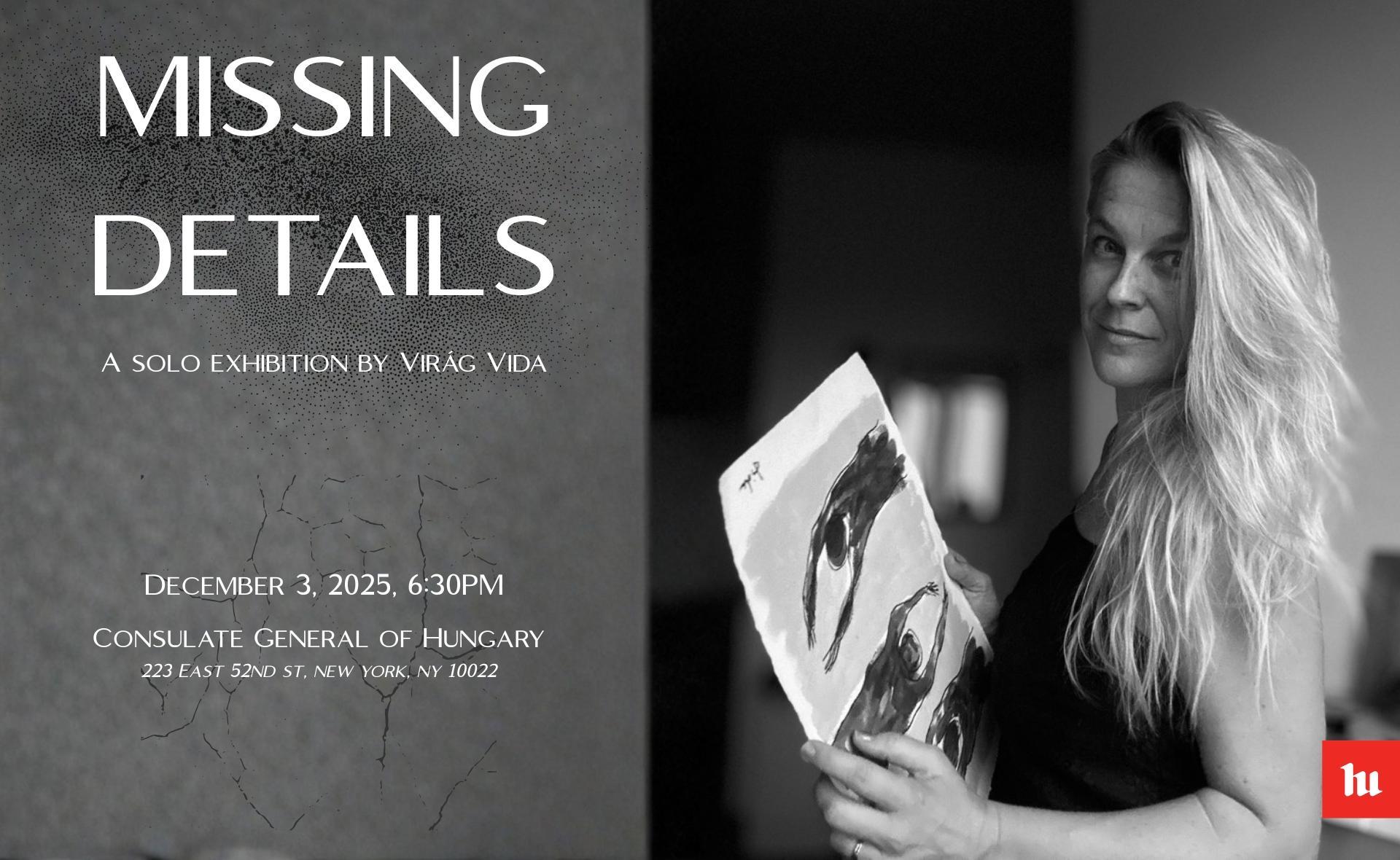 Missing Details - A Solo Exhibition by Virág Vida