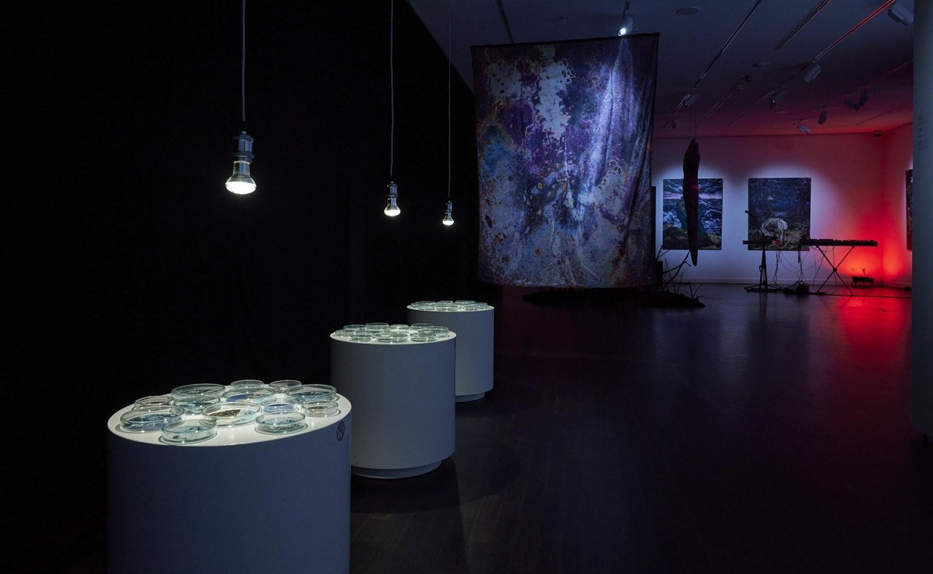 AUSSTELLUNG | Brave New?