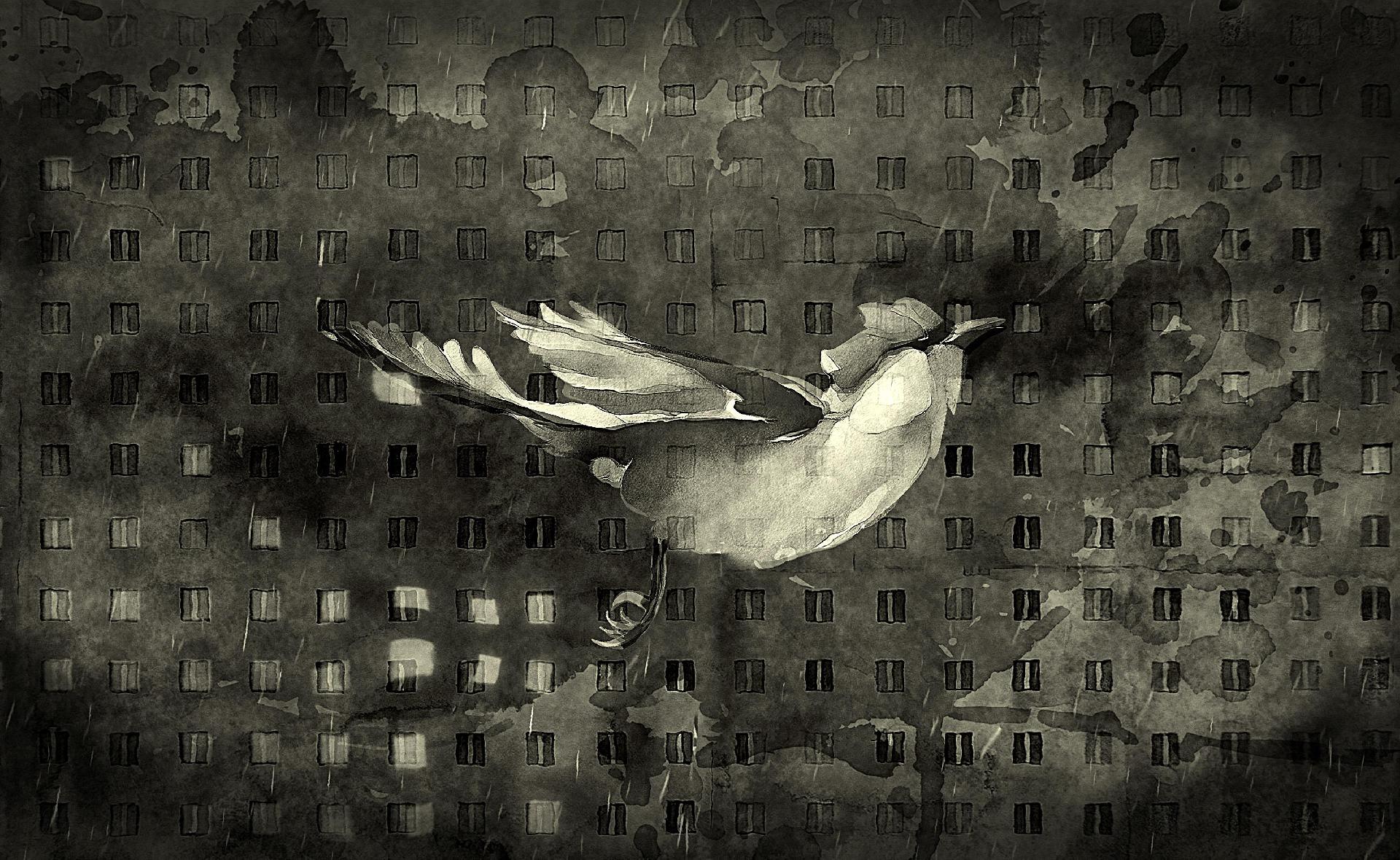 Copyright: Vertigo