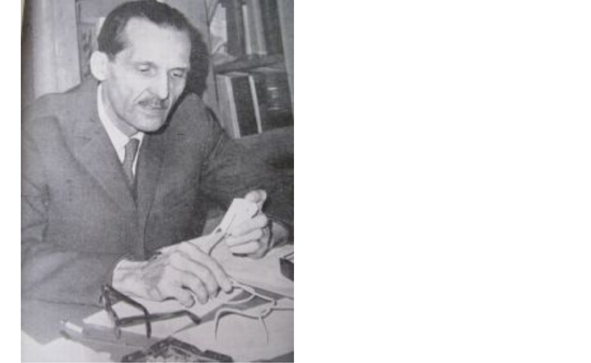József Venczel