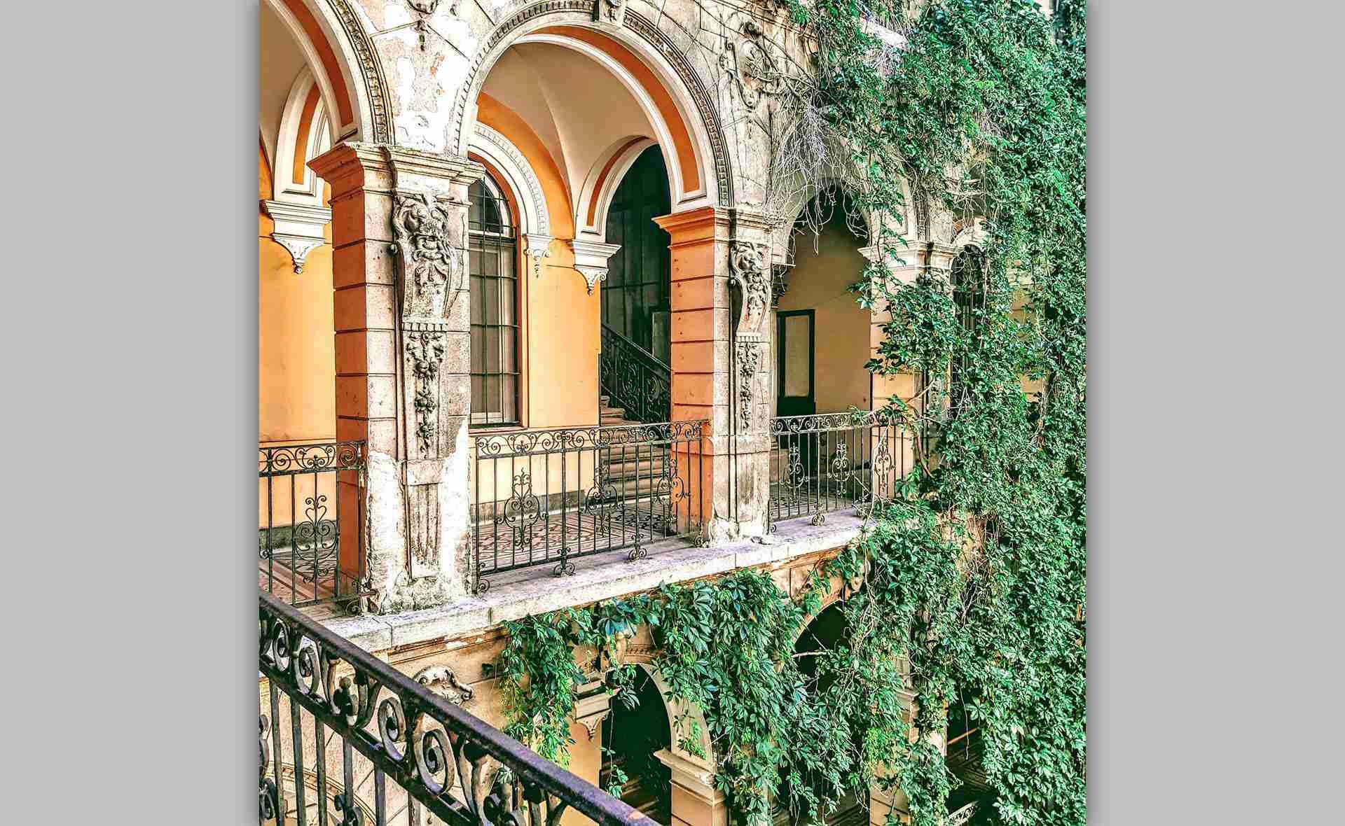 6 rue Szentkiralyi, Photo : Wagnerné Zöld Angéla