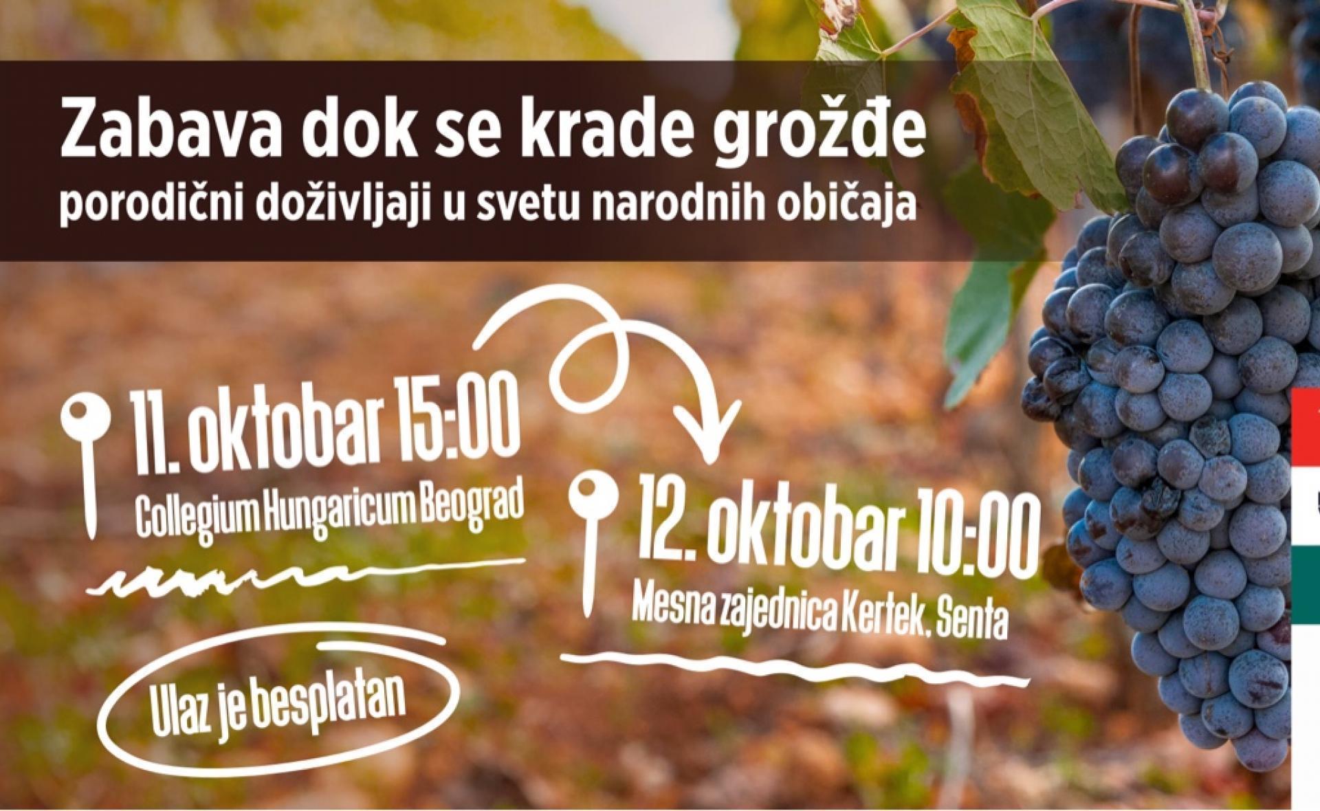Zabavad dok se krade grožđe – Porodični program u Beogradu i Senti!