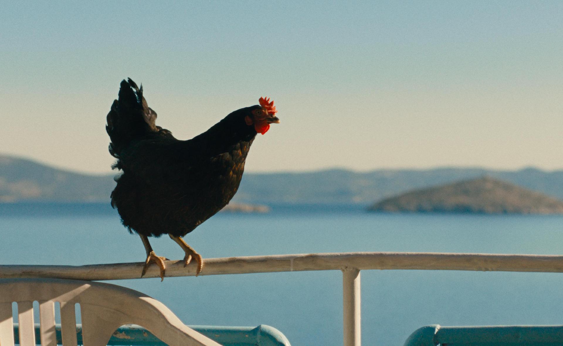 ©️ Giorgos Karvelas