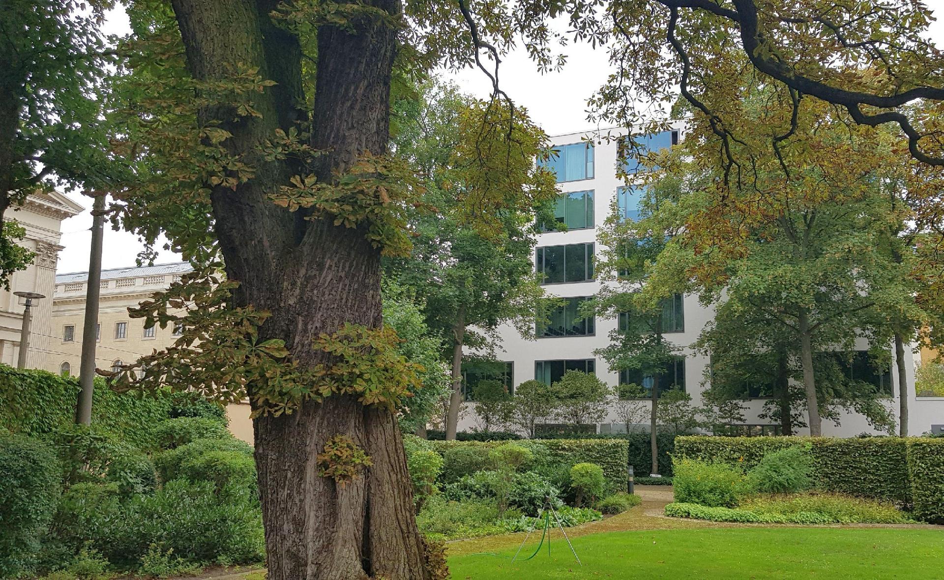 GARTENFIEBER. Rund um eine versteckte Oase der Dorotheenstraße