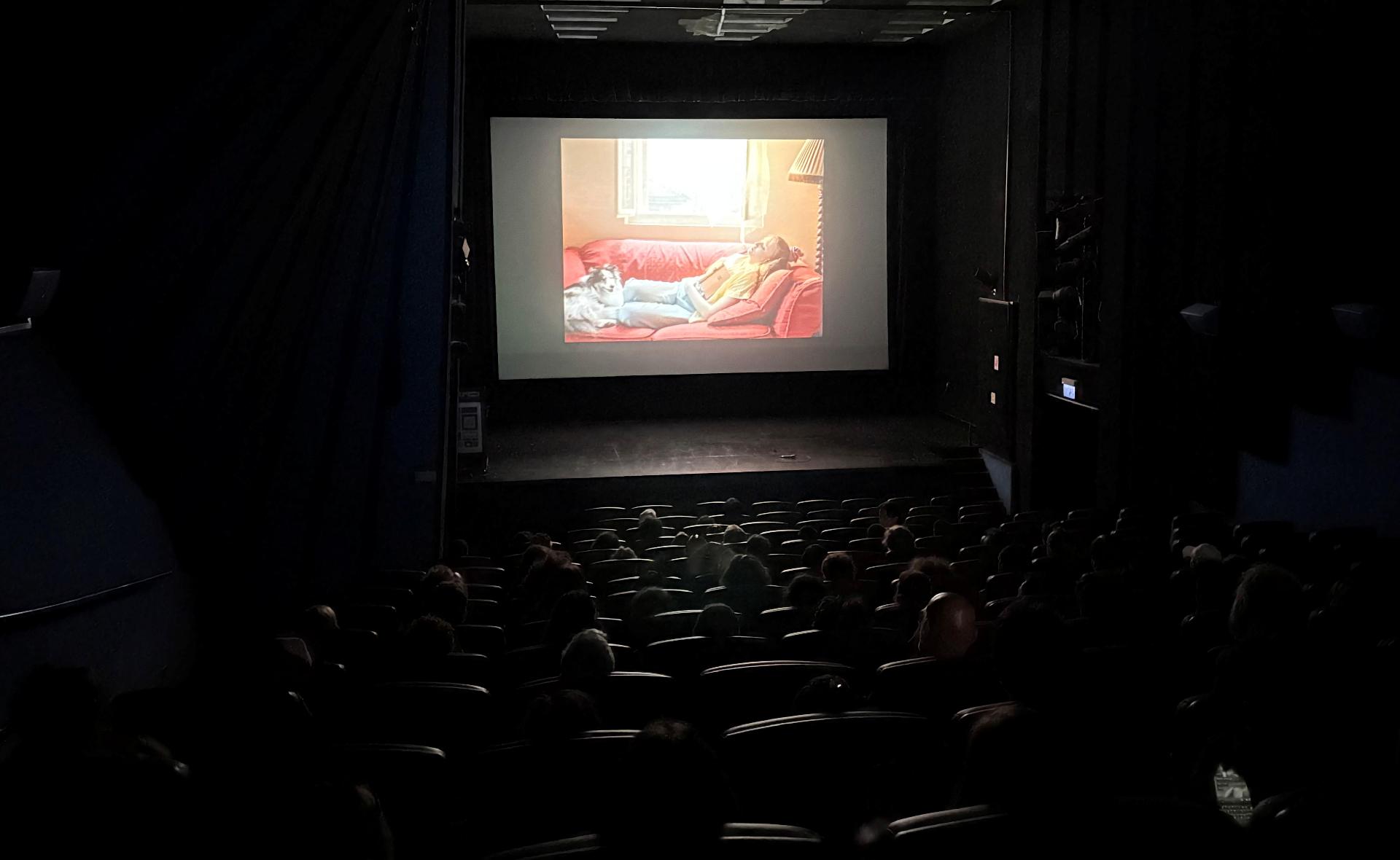 Magyar filmek a Tel-avivi Nemzetközi Diákfilm Fesztiválon