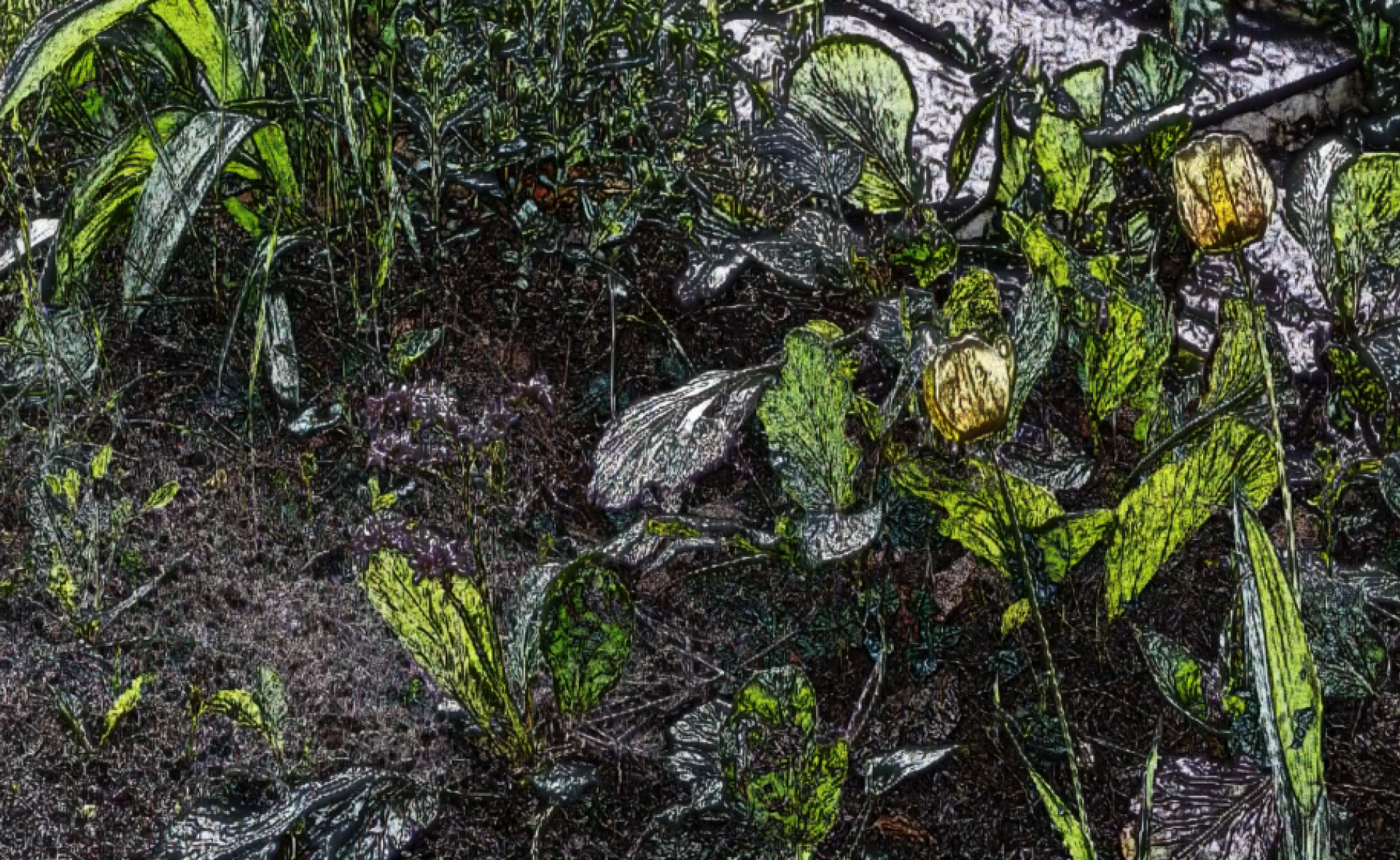 Tamas Waliczky: Swinging in the Garden, 2021;
Copyright © 2021 by Tamas Waliczky;
Courtesy of Ani Molnár Gallery