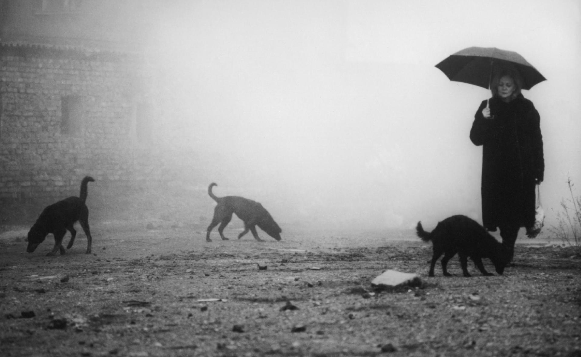 Kuva: Béla Tarr: DAMNATION, 1988