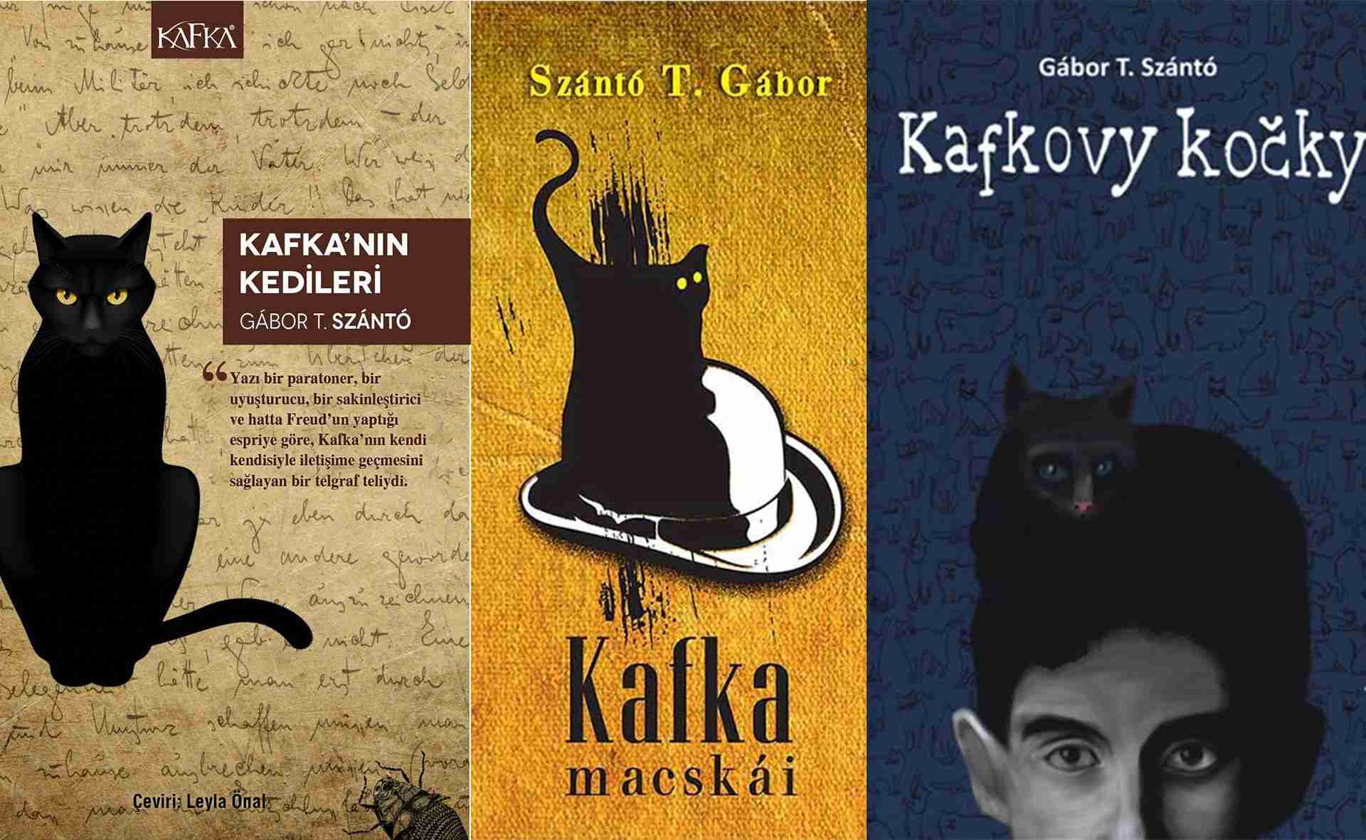 "Котките на Кафка", турско, унгарско и чешко издание